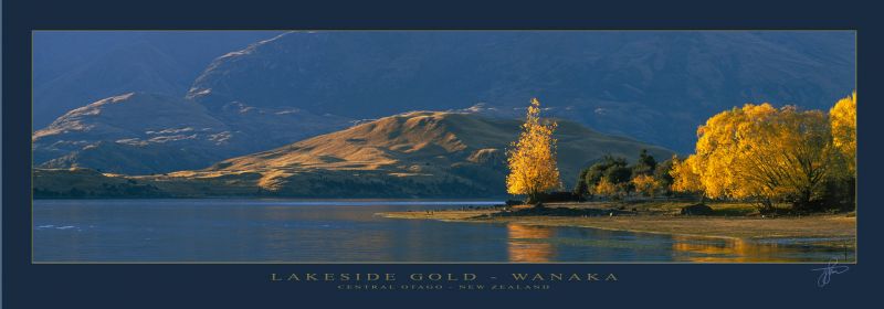 16842 - Lakse Side Gold - Wanaka - Sample Pano